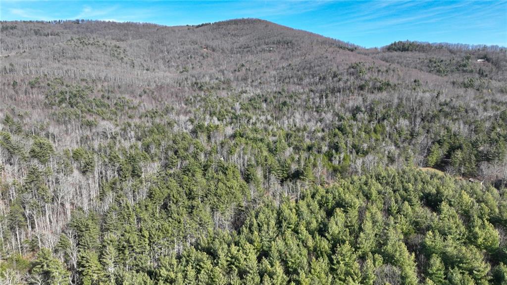 Tbd Big Ivy Road Purlear, NC 28665 - Photo 19 of 50