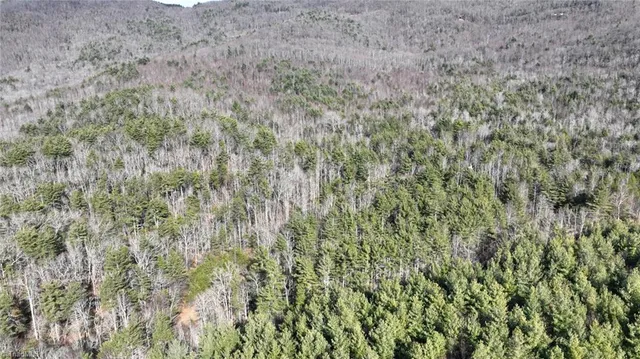 $98,000 | Tbd Big Ivy Road, Purlear, NC 28665