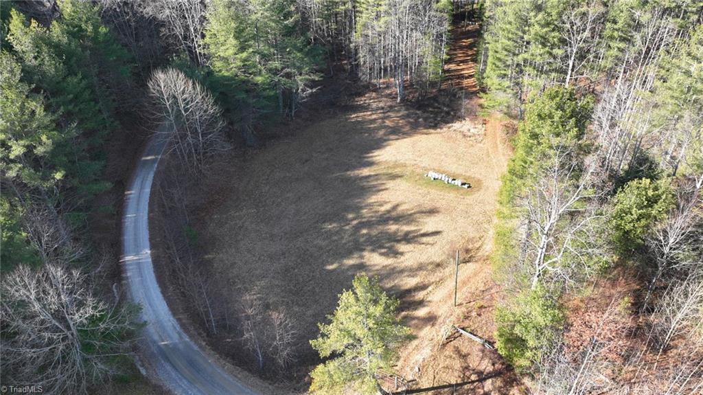 Tbd Big Ivy Road Purlear, NC 28665 - Photo 2 of 50