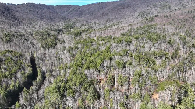 $98,000 | Tbd Big Ivy Road, Purlear, NC 28665