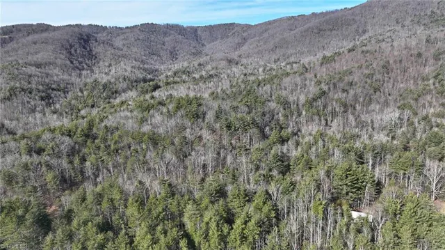 $98,000 | Tbd Big Ivy Road, Purlear, NC 28665