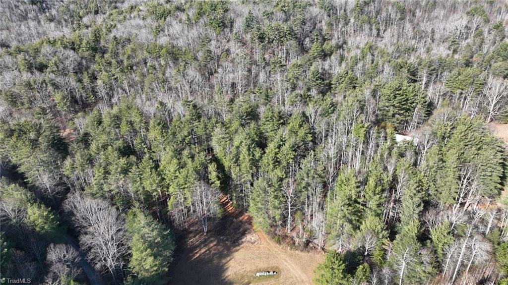 Tbd Big Ivy Road Purlear, NC 28665 - Photo 23 of 50