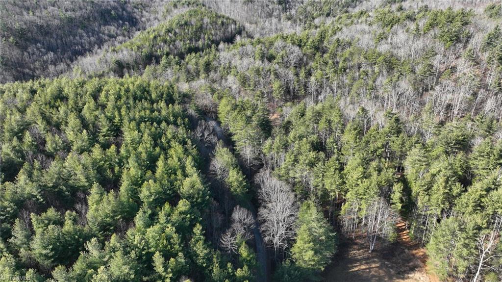 Tbd Big Ivy Road Purlear, NC 28665 - Photo 24 of 50