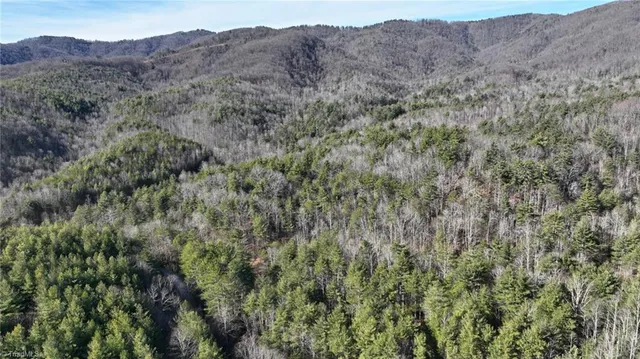 $98,000 | Tbd Big Ivy Road, Purlear, NC 28665