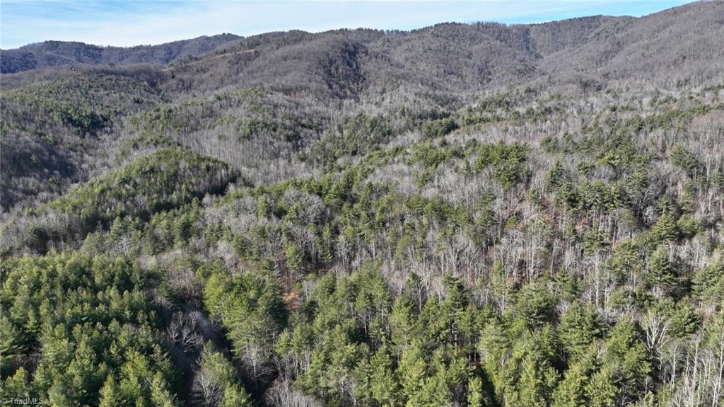 Tbd Big Ivy Road Purlear, NC 28665 - Photo 25 of 50