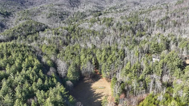 $98,000 | Tbd Big Ivy Road, Purlear, NC 28665