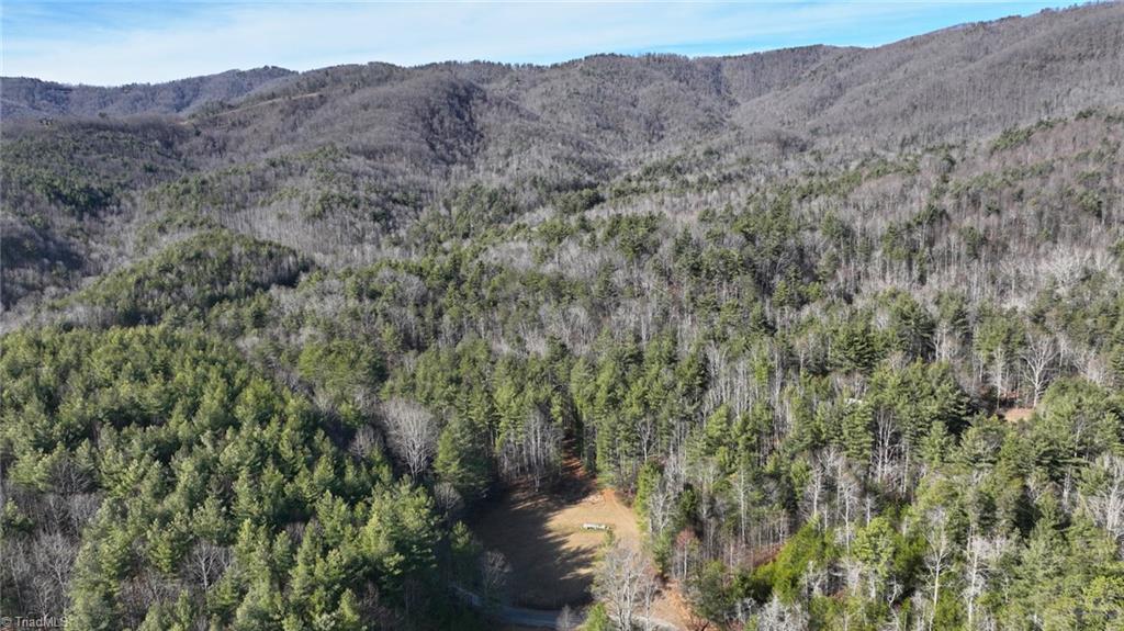 Tbd Big Ivy Road Purlear, NC 28665 - Photo 27 of 50