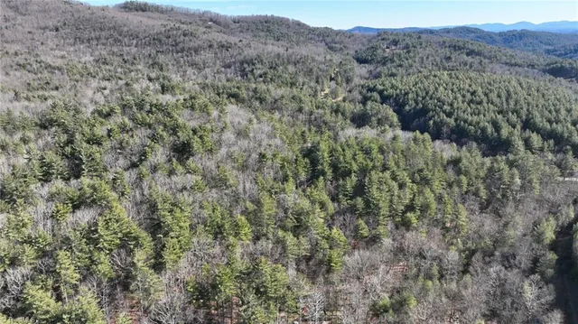 $98,000 | Tbd Big Ivy Road, Purlear, NC 28665