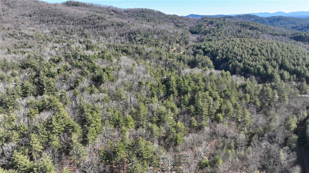 Tbd Big Ivy Road Purlear, NC 28665 - Photo 28 of 50