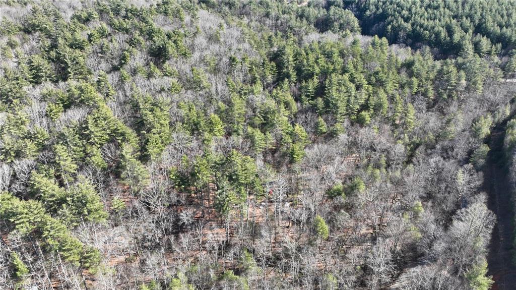 Tbd Big Ivy Road Purlear, NC 28665 - Photo 29 of 50