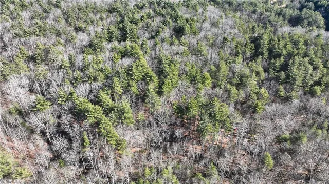 $98,000 | Tbd Big Ivy Road, Purlear, NC 28665