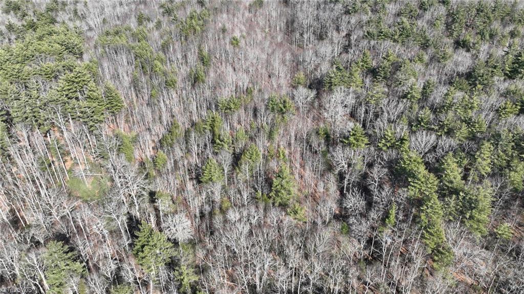 Tbd Big Ivy Road Purlear, NC 28665 - Photo 31 of 50