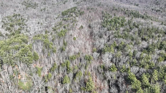 $98,000 | Tbd Big Ivy Road, Purlear, NC 28665