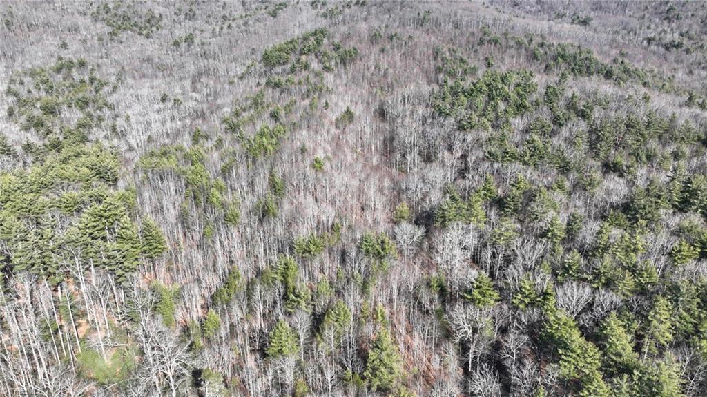 Tbd Big Ivy Road Purlear, NC 28665 - Photo 32 of 50