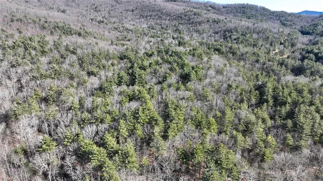 $98,000 | Tbd Big Ivy Road, Purlear, NC 28665