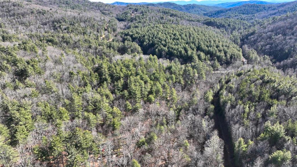 Tbd Big Ivy Road Purlear, NC 28665 - Photo 34 of 50