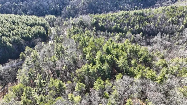 $98,000 | Tbd Big Ivy Road, Purlear, NC 28665