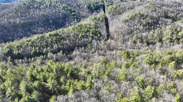 $98,000 | Tbd Big Ivy Road, Purlear, NC 28665