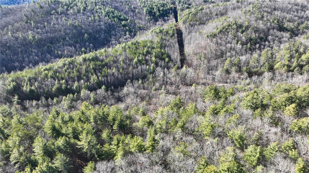 Tbd Big Ivy Road Purlear, NC 28665 - Photo 36 of 50