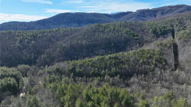 $98,000 | Tbd Big Ivy Road, Purlear, NC 28665