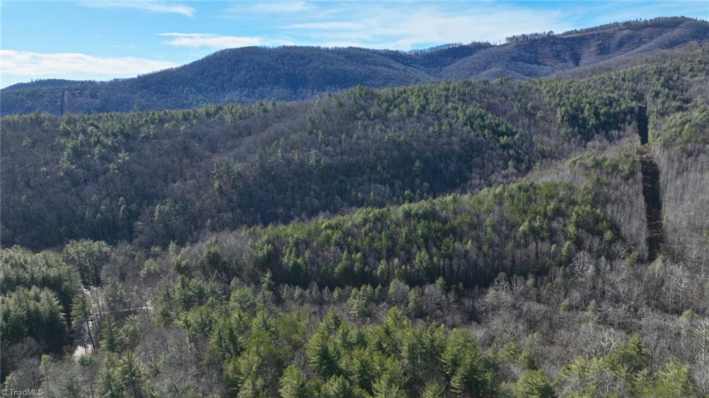 Tbd Big Ivy Road Purlear, NC 28665 - Photo 37 of 50