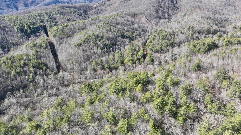 Tbd Big Ivy Road Purlear, NC 28665 - Photo 38 of 50