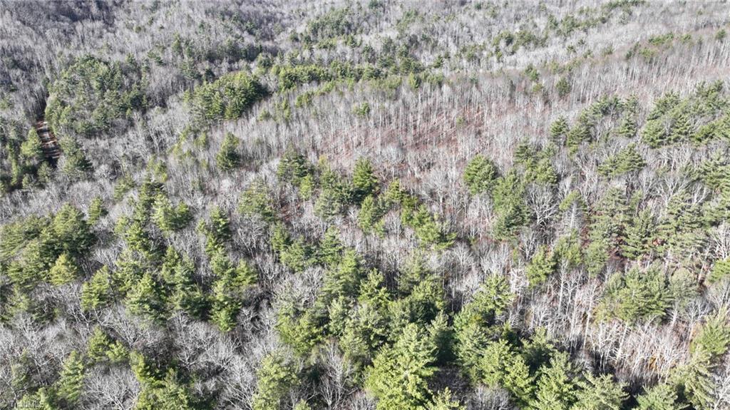 Tbd Big Ivy Road Purlear, NC 28665 - Photo 39 of 50