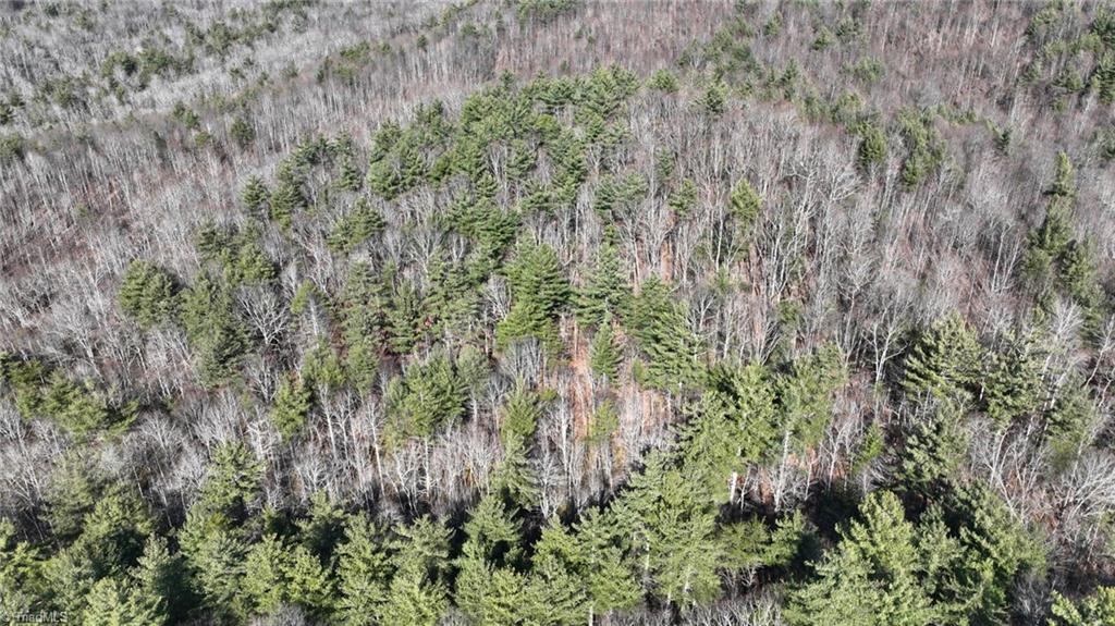 Tbd Big Ivy Road Purlear, NC 28665 - Photo 40 of 50