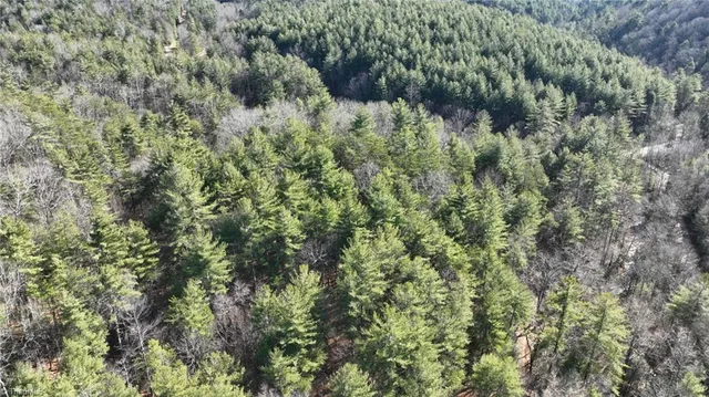 $98,000 | Tbd Big Ivy Road, Purlear, NC 28665