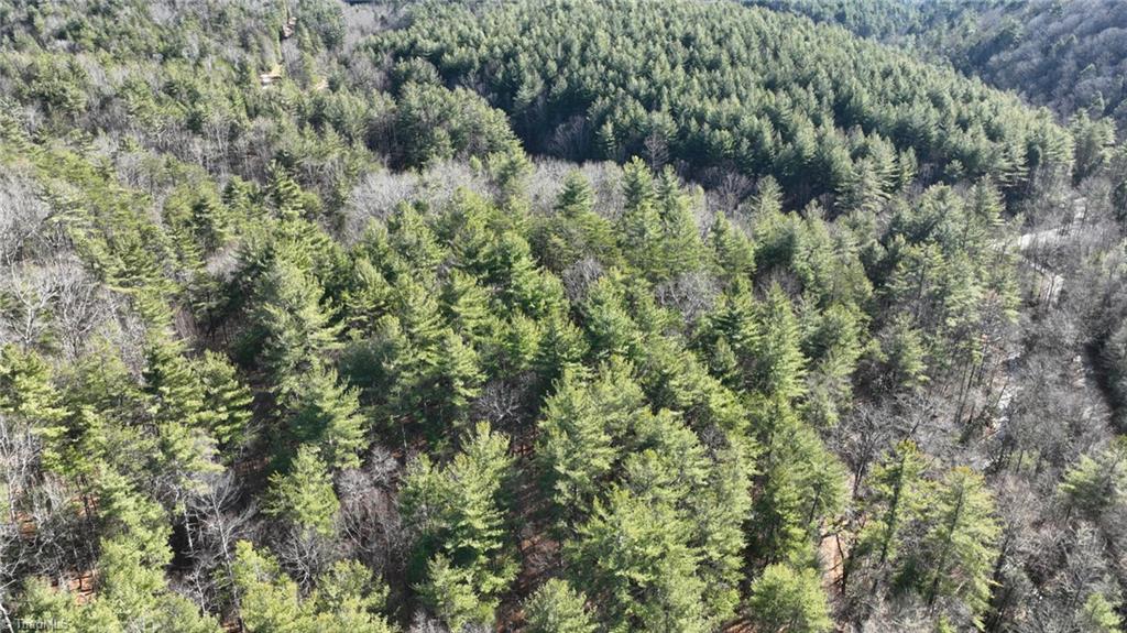 Tbd Big Ivy Road Purlear, NC 28665 - Photo 4 of 50