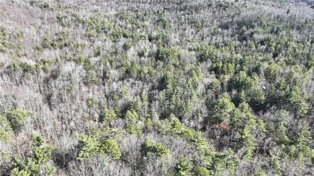 $98,000 | Tbd Big Ivy Road, Purlear, NC 28665