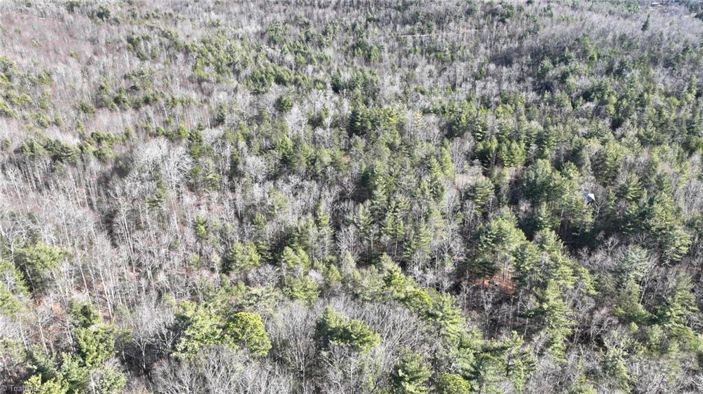 Tbd Big Ivy Road Purlear, NC 28665 - Photo 41 of 50