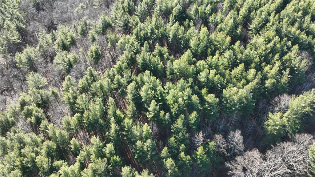 Tbd Big Ivy Road Purlear, NC 28665 - Photo 46 of 50