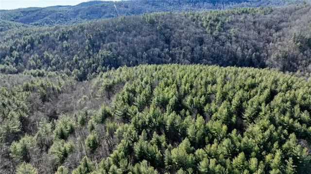 $98,000 | Tbd Big Ivy Road, Purlear, NC 28665