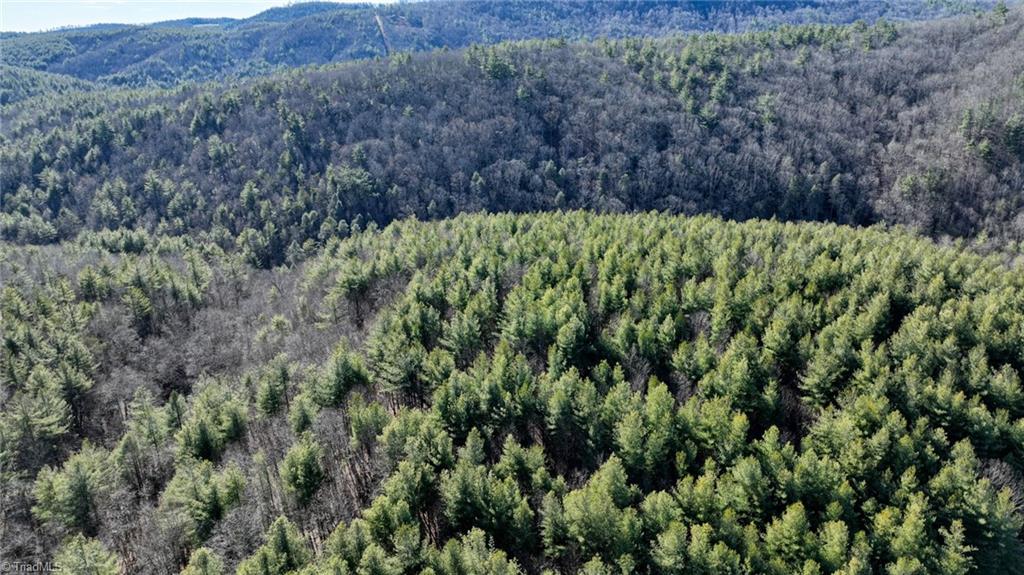 Tbd Big Ivy Road Purlear, NC 28665 - Photo 47 of 50