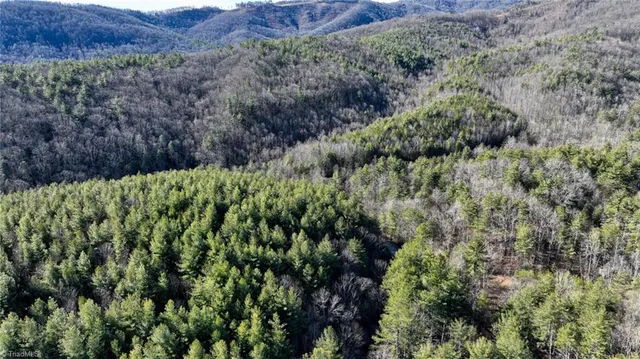 $98,000 | Tbd Big Ivy Road, Purlear, NC 28665