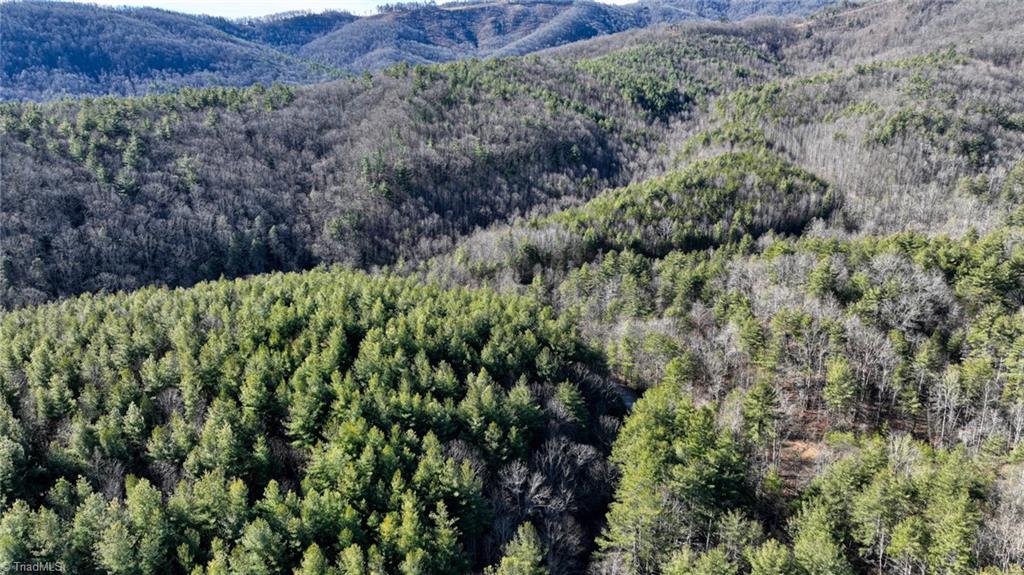 Tbd Big Ivy Road Purlear, NC 28665 - Photo 48 of 50