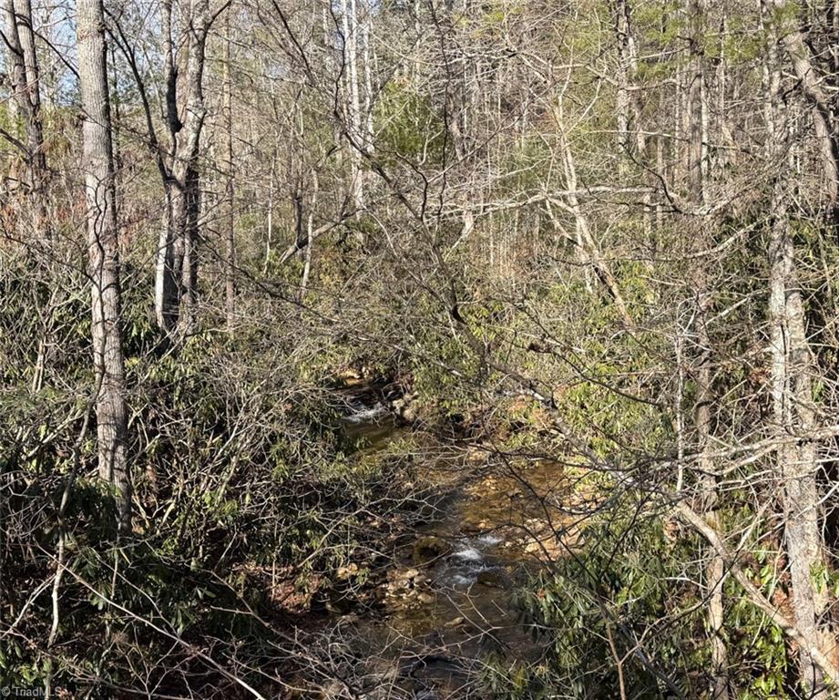 Tbd Big Ivy Road Purlear, NC 28665 - Photo 49 of 50