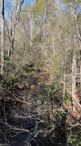 $98,000 | Tbd Big Ivy Road, Purlear, NC 28665