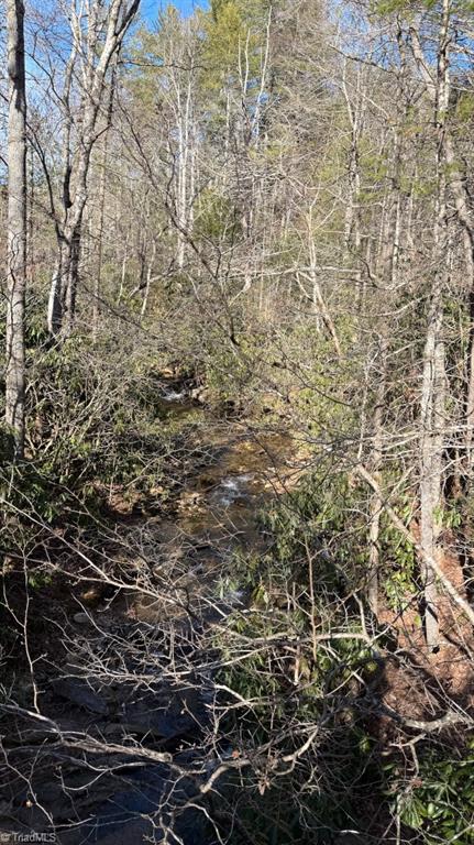 Tbd Big Ivy Road Purlear, NC 28665 - Photo 50 of 50