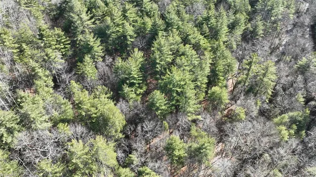 $98,000 | Tbd Big Ivy Road, Purlear, NC 28665