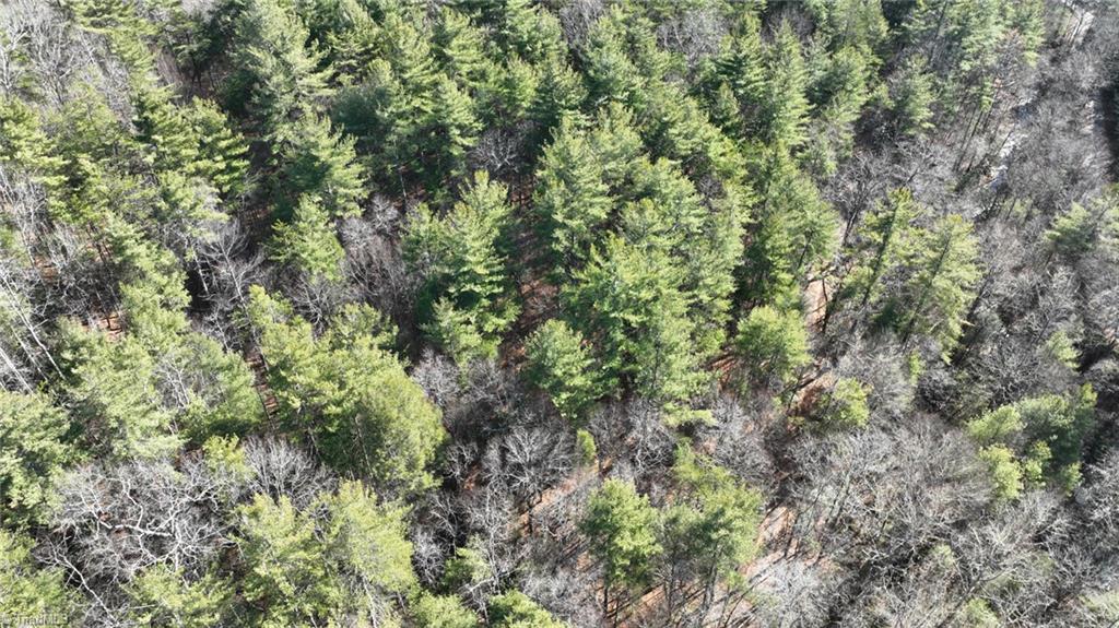 Tbd Big Ivy Road Purlear, NC 28665 - Photo 5 of 50