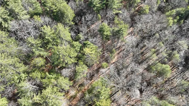 $98,000 | Tbd Big Ivy Road, Purlear, NC 28665