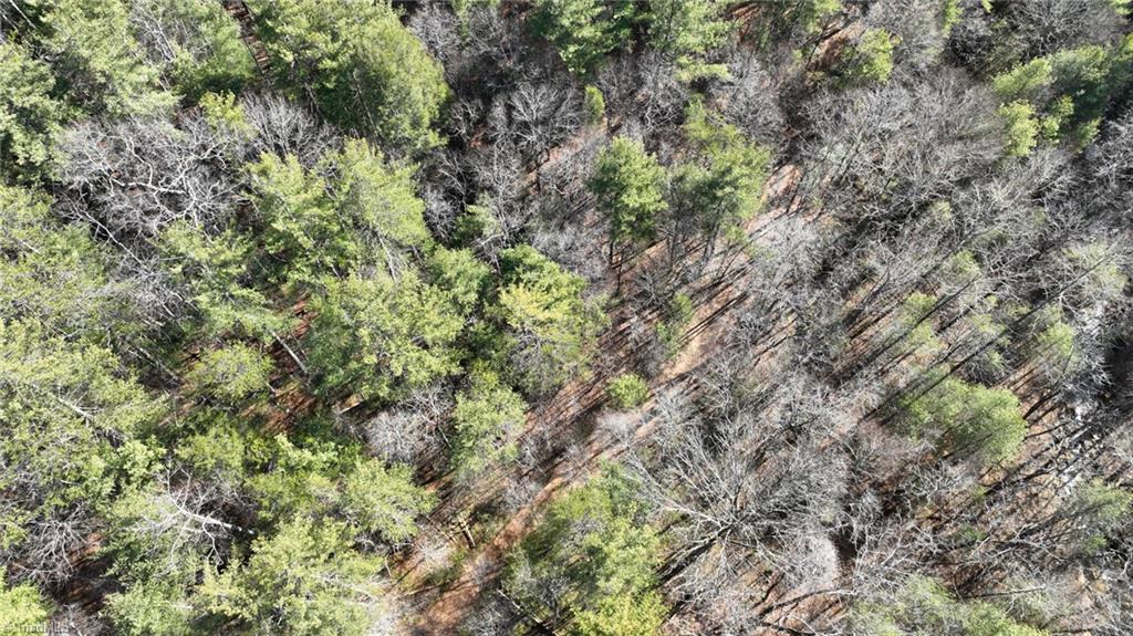 Tbd Big Ivy Road Purlear, NC 28665 - Photo 6 of 50