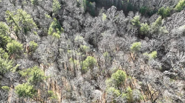 $98,000 | Tbd Big Ivy Road, Purlear, NC 28665