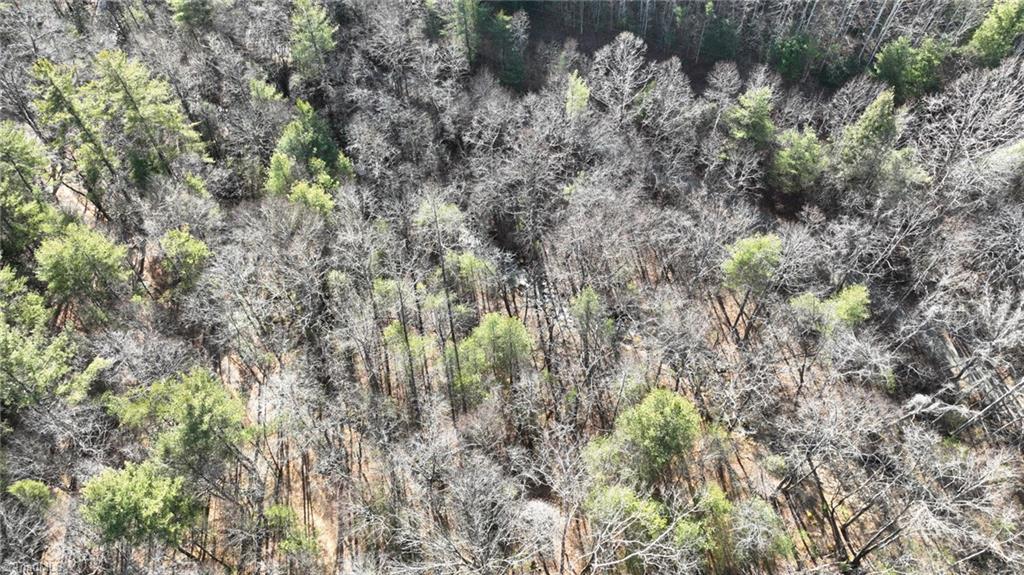 Tbd Big Ivy Road Purlear, NC 28665 - Photo 7 of 50