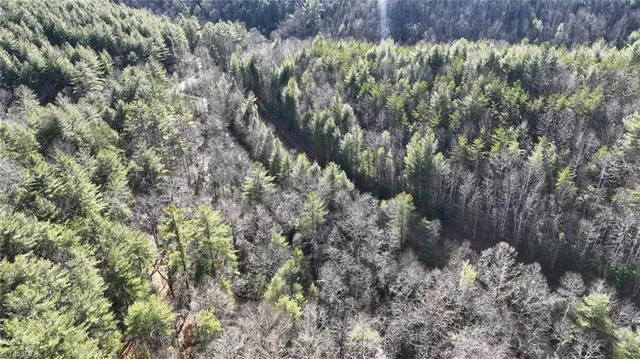 $98,000 | Tbd Big Ivy Road, Purlear, NC 28665