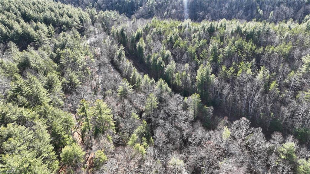 Tbd Big Ivy Road Purlear, NC 28665 - Photo 8 of 50