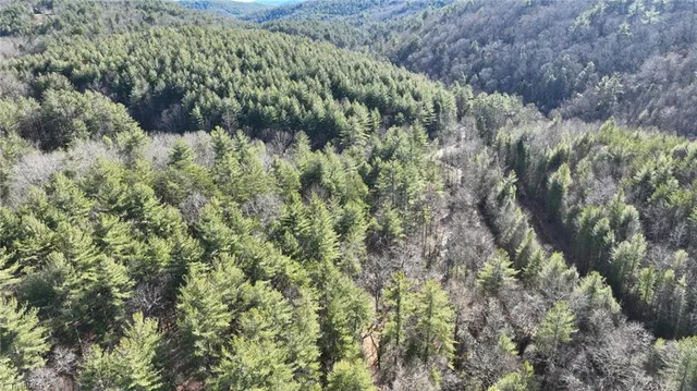 $98,000 | Tbd Big Ivy Road, Purlear, NC 28665