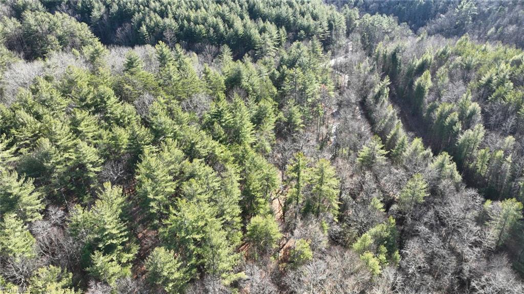 Tbd Big Ivy Road Purlear, NC 28665 - Photo 10 of 50